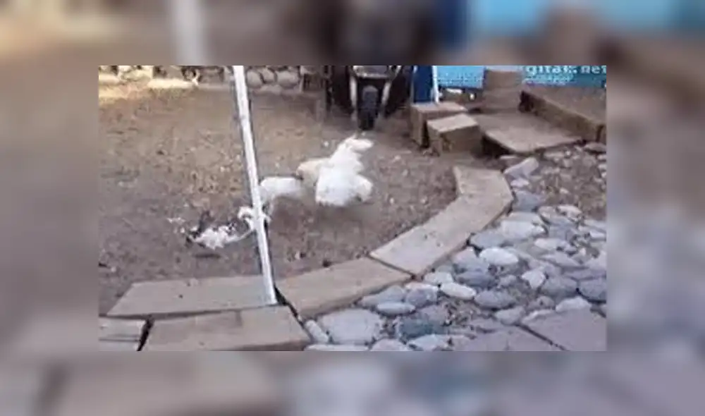 Desliza para ver los detalles del video viral publicado en YouTube. Foto: Captura.