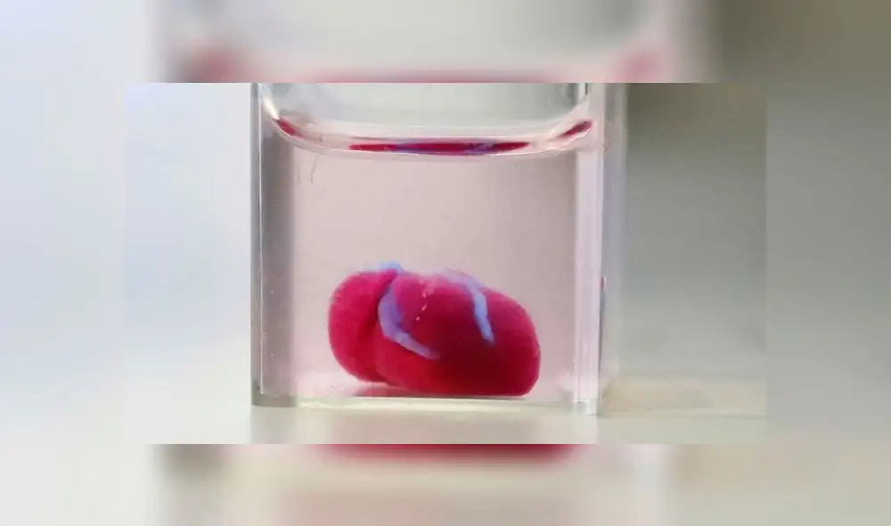 Crean el primer corazón "completo, vivo y que palpita" impreso en 3D con tejido humano [FOTOS]