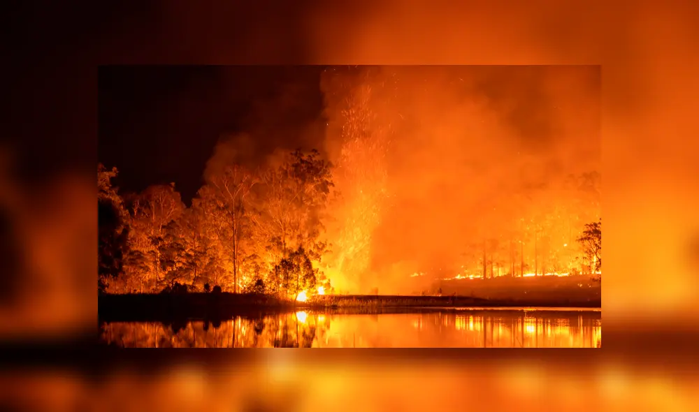 Incendio forestal en Australia. Foto: Twitter Incendio forestal en Australia. Foto: Twitter
