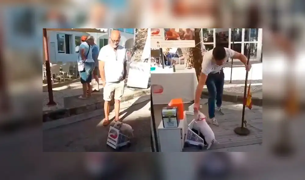 Adorable cerdo bebé realiza trucos en la calle Adorable cerdo bebé realiza trucos en la calle