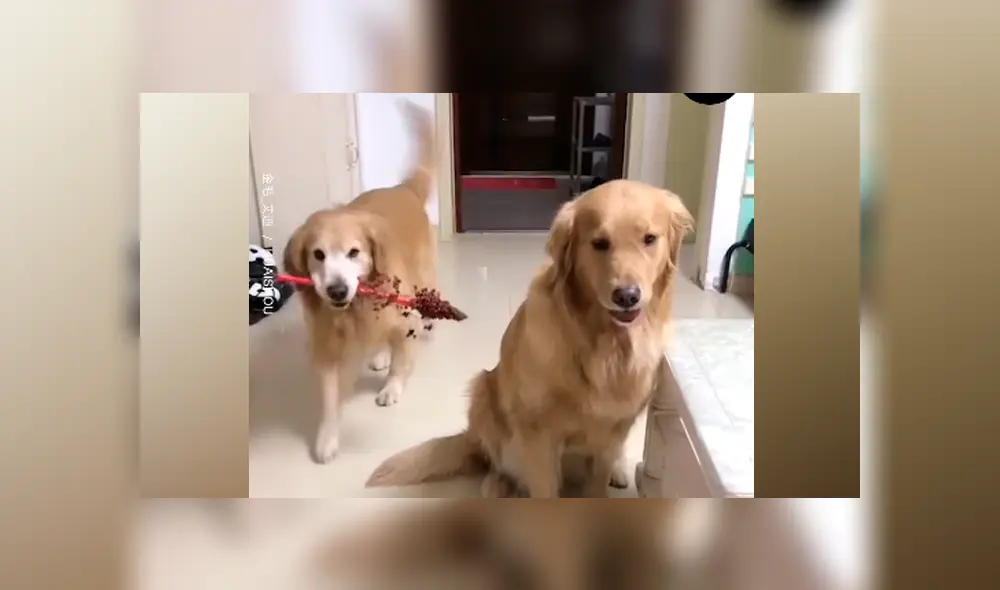 Desliza a la izquierda para ver más sobre esta romántica escena. (Foto: captura)