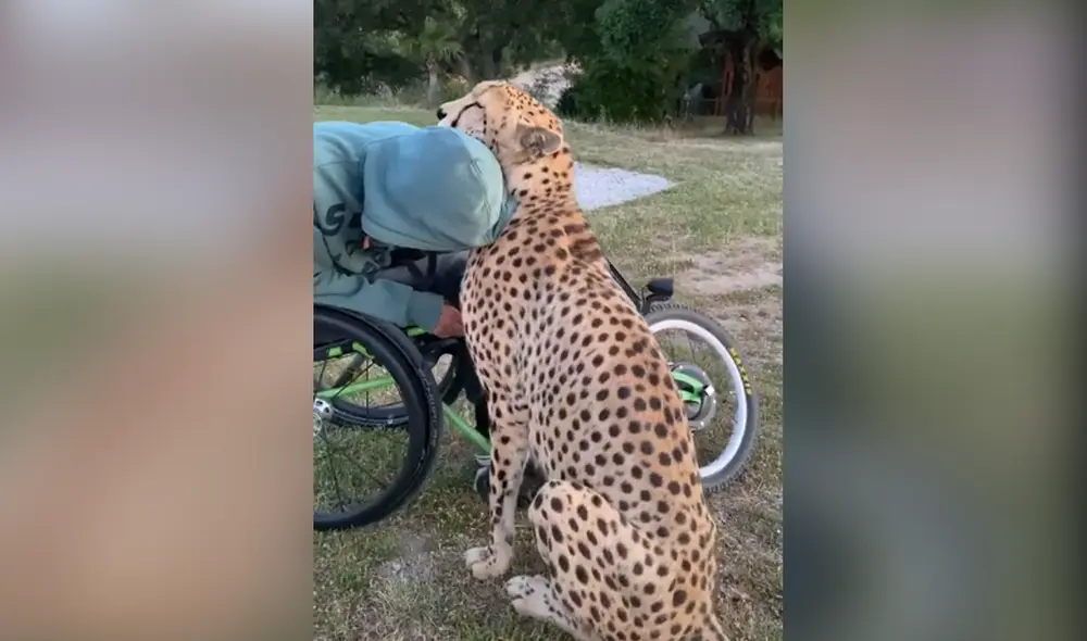 Desliza hacia la izquierda para ver las imágenes del video viral. Foto: Captura de Facebook.