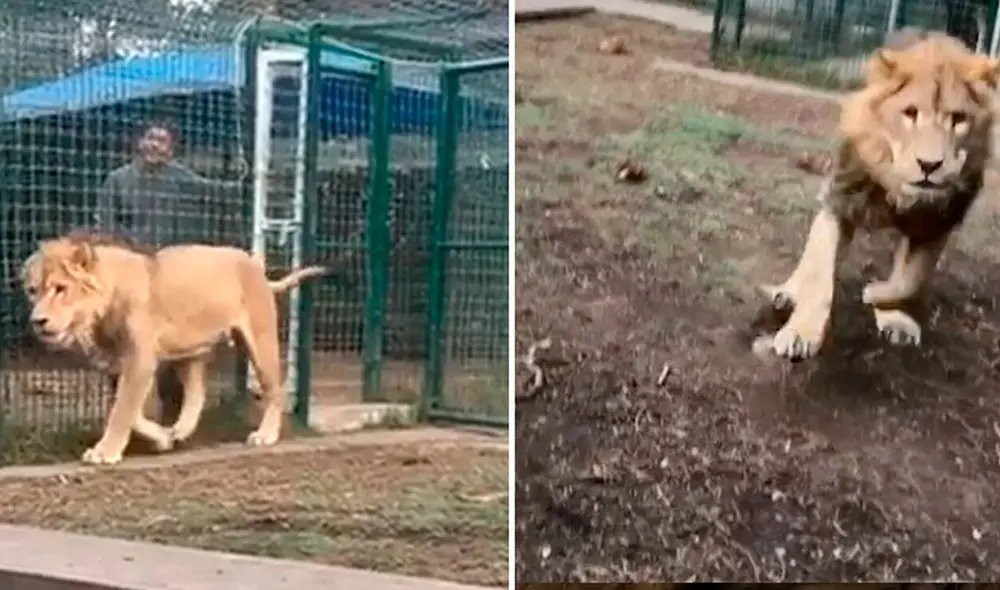 Desliza hacia la izquierda para ver las imágenes del video viral. Foto: captura de YouTube.