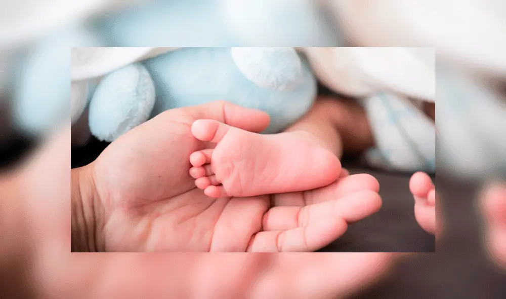 Bebés prematuros: ¿Qué sucede con un niño que nace en 37 semanas?