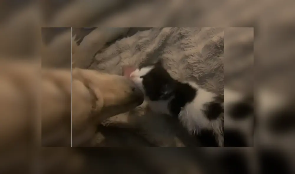 Desliza las imágenes para ver más detalles de esta tierna escena que es viral en Facebook.