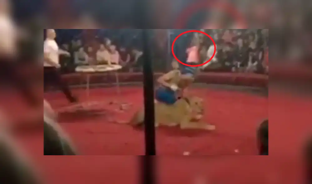 YouTube: el estremecedor momento en que leona ataca a niña en circo [VIDEO]