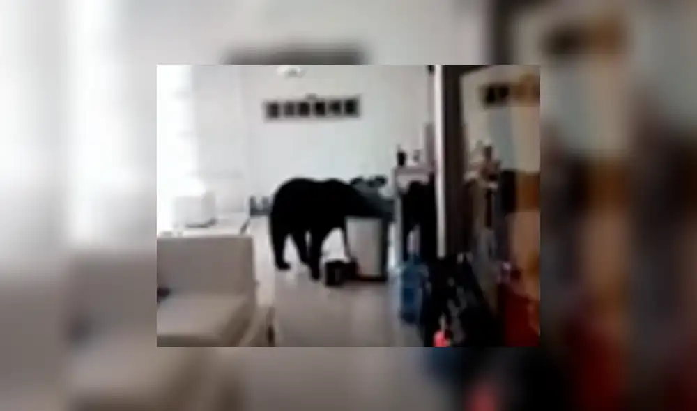 Desliza la imagen de YouTube para ver todas las imágenes.