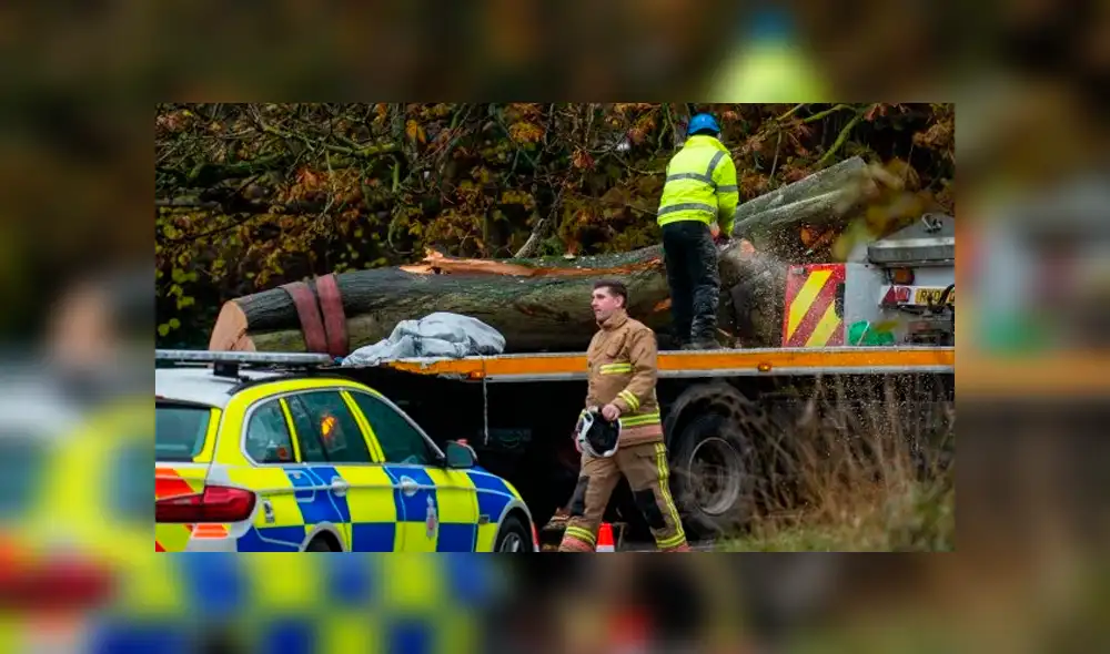 Madre e hija fallecen tras ser aplastadas por árbol que cayó sobre su vehículo [FOTOS]