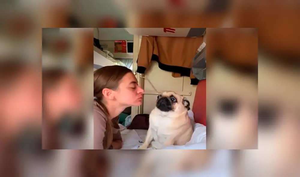 Video es viral en Instagram. La joven intentó ser cariñosa con su perro pug y se llevó una tremenda sorpresa cuando su mascota reaccionó de una forma muy curiosa. Foto: Captura.