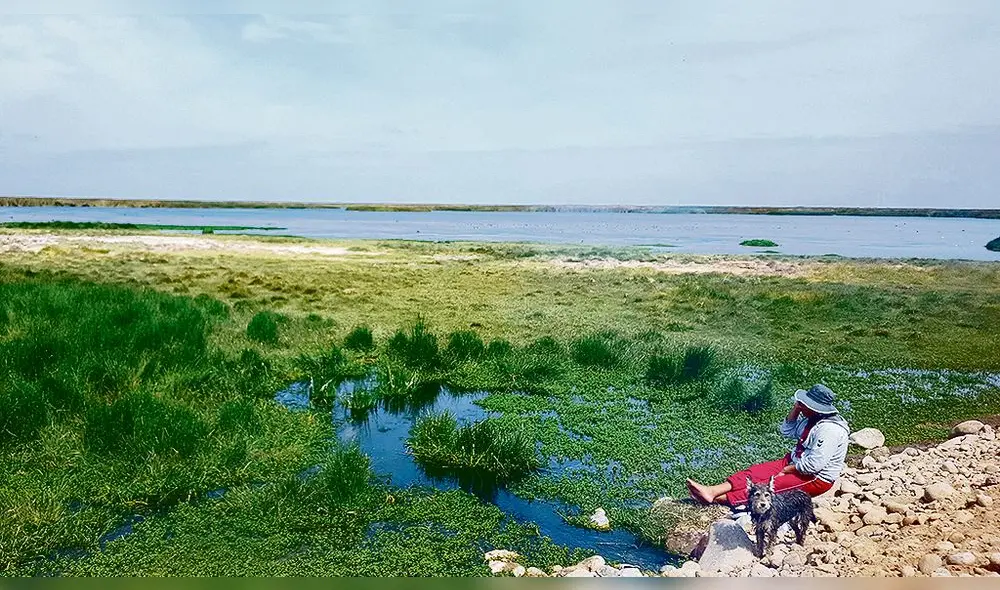 Southern y pastores de cabras enfrentados por humedales de Ite Southern y pastores de cabras enfrentados por humedales de Ite