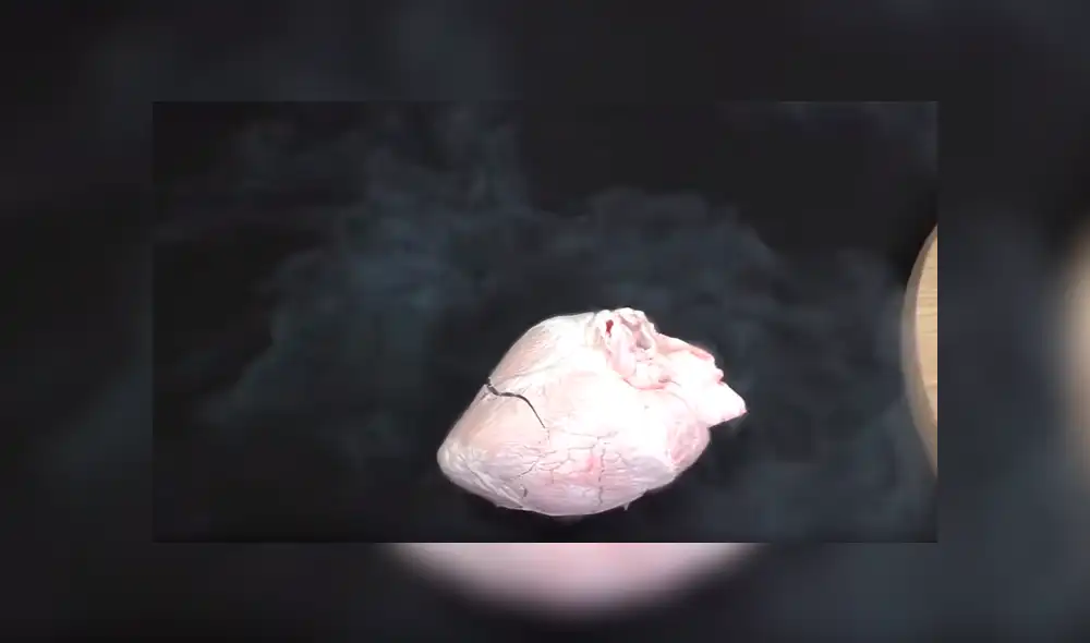 Desliza para ver el desenlace de este video viral de YouTube. Foto: Captura. Desliza para ver el desenlace de este video viral de YouTube. Foto: Captura.