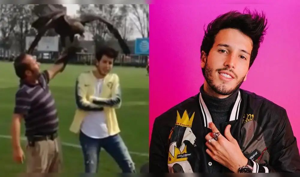 Águila ataca en la cabeza a Sebastián Yatra en sesión de fotos [VIDEO]