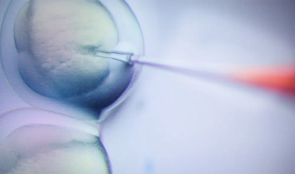 Un investigador inyecta células con moléculas CRISPR/Cas9 en un experimento de edición del genoma en el Centro Max Delbrück de Medicina Molecular en Alemania. Foto: Gregor Fischer/ dpa