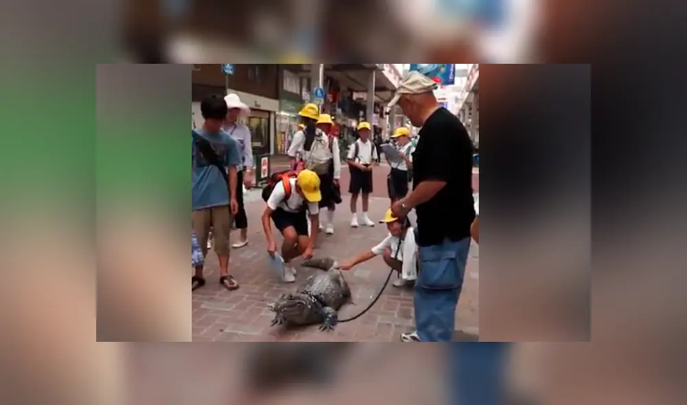 Facebook viral: anciano cuida a cocodrilo como si fuera su hijo y comportamiento de animal sorprende al mundo