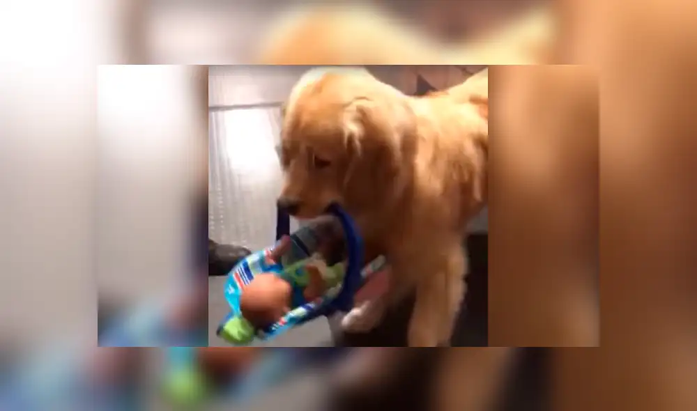 Los agentes nunca imaginaron que uno de los suyos robaría los juguetes que planeaban darle a una fundación de caridad. Foto: captura.