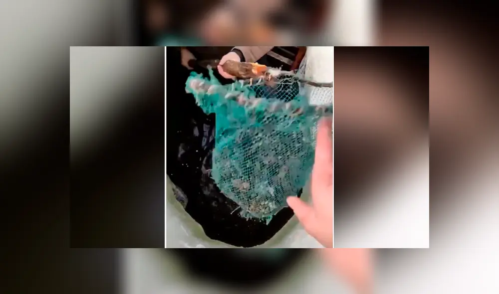 Facebook viral: Niño entra a pozo y descubre 'aterradoras' criaturas que sorprenden a miles [VIDEO]