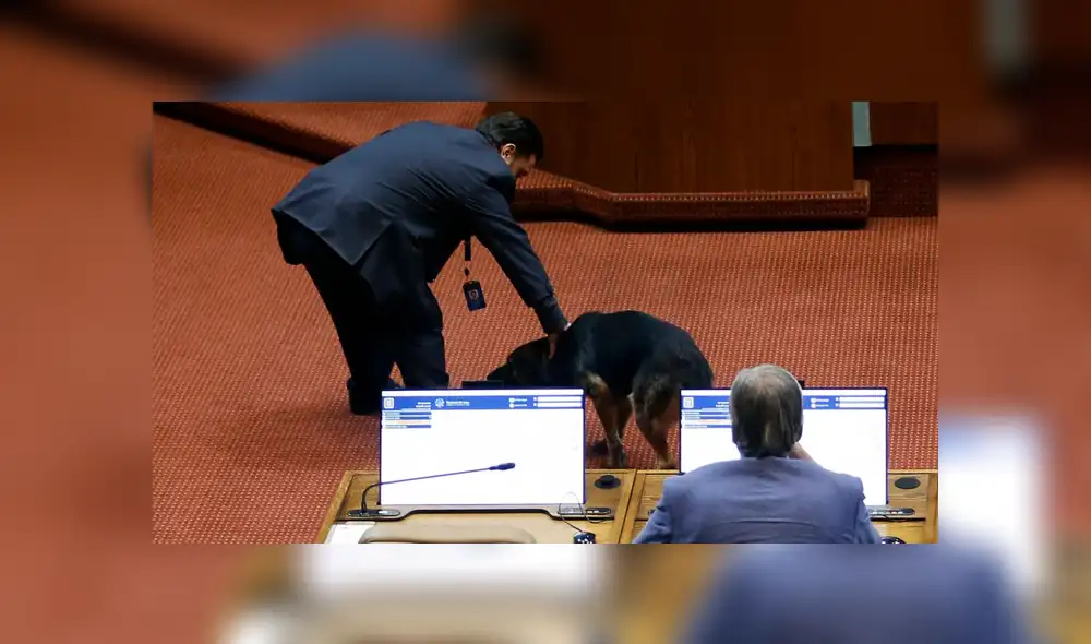 El perrito interrumpió el hemiciclo mientras se debatía el proyecto de ley de Seguro Catastrófico. Foto: Cooperativa.cl