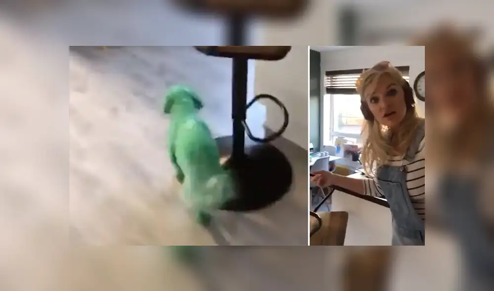 Desliza para conocer detalles de este video viral publicado en YouTube. Foto: Captura. Desliza para conocer detalles de este video viral publicado en YouTube. Foto: Captura.