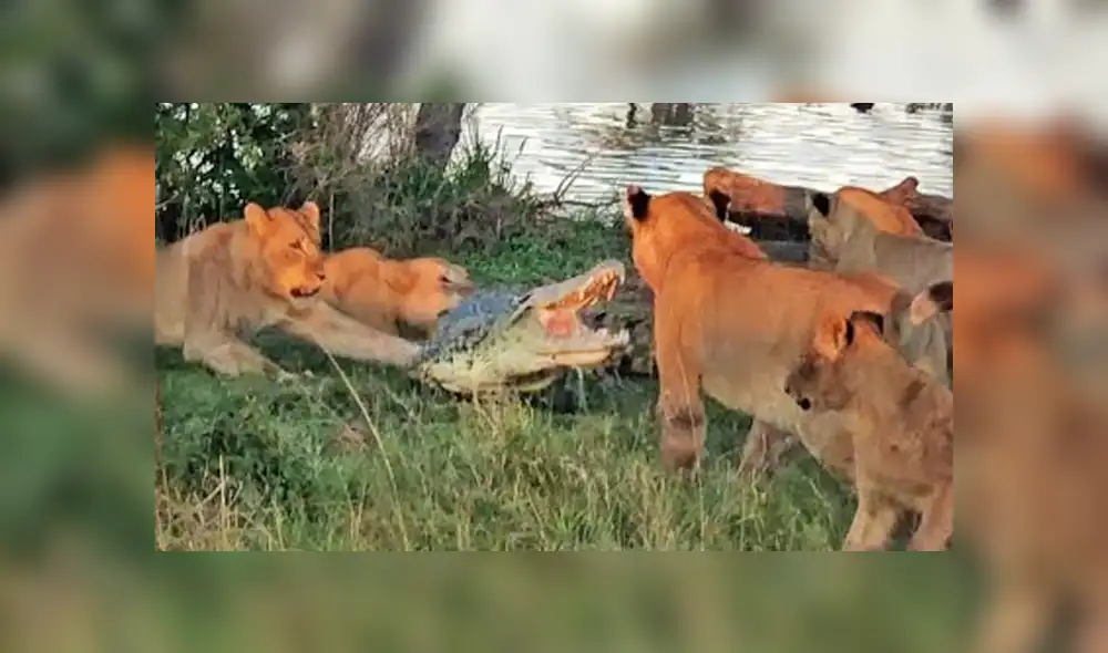 Desliza hacia la izquierda para ver las imágenes del viral de Facebook. Desliza hacia la izquierda para ver las imágenes del viral de Facebook.