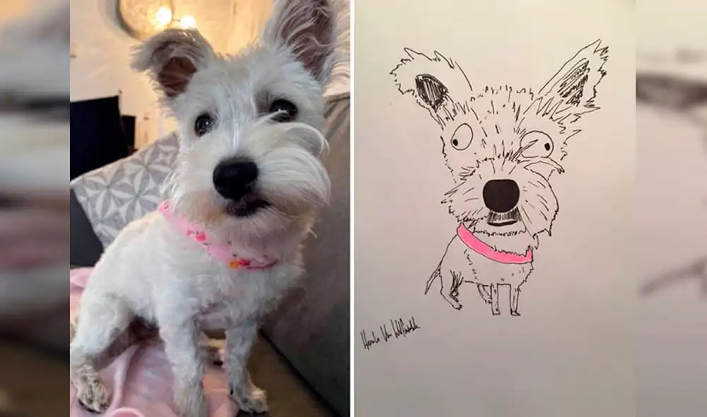 Desliza las imágenes hacia la izquierda para apreciar los dibujos de animales realizados por un joven. Fotos: Pet Portraits By Hercule.