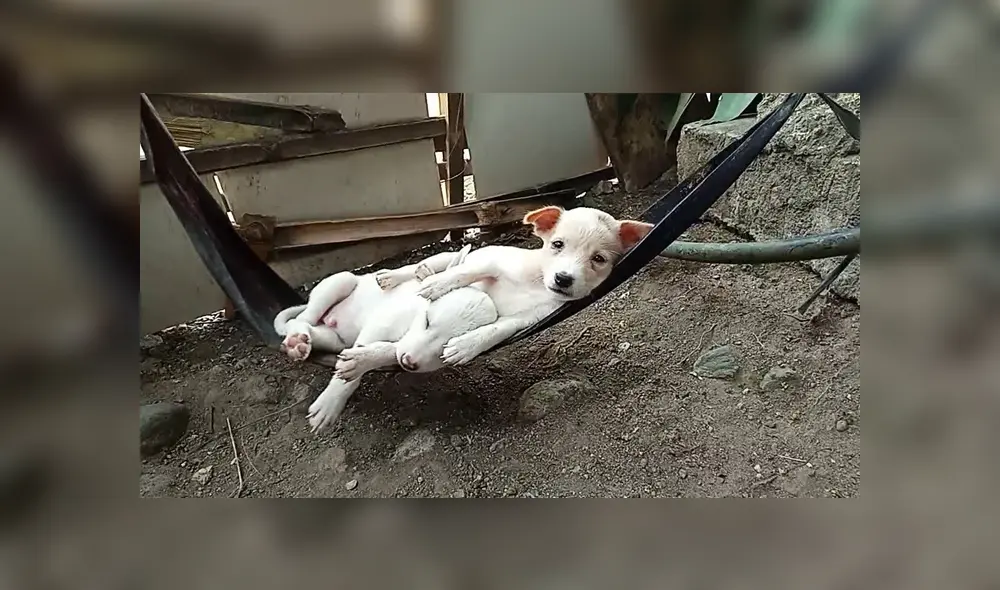 Desliza para ver los detalles del video viral de YouTube. Foto: Captura.