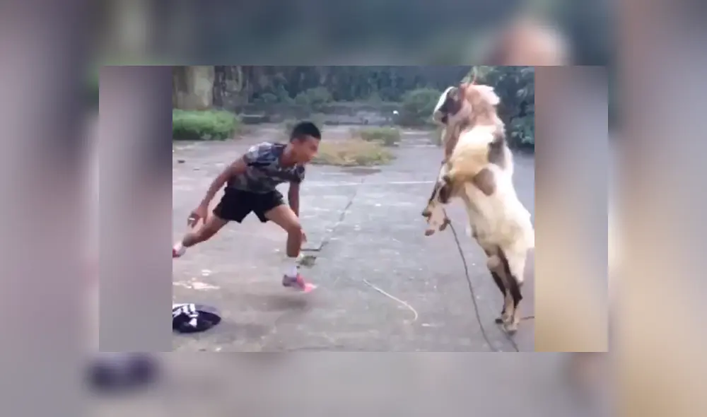 Los niños y jóvenes que fueron testigos del hecho se rieron al ver el enfrentamiento.