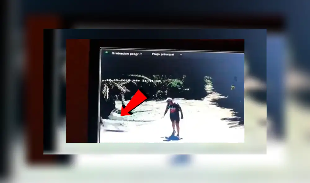 Youtube viral: Intenta entrar a una casa sin permiso y perros le dan una dura lección [VIDEO]