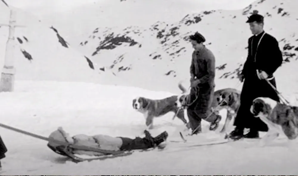 Barry fue entrenado por los monjes para rescatar a personas perdidas. Foto: Captura/YouTube/Experto Animal