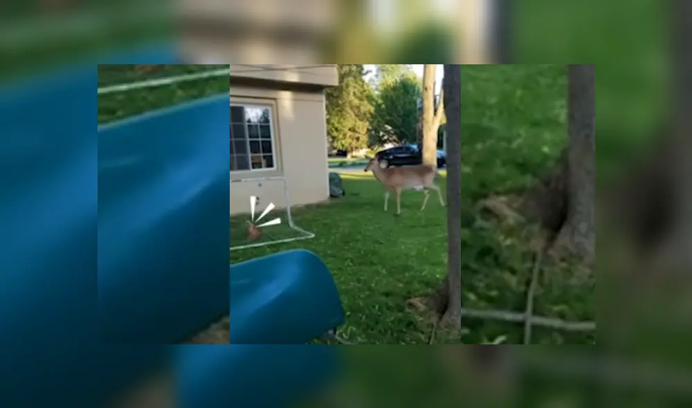 Desliza hacia la izquierda para ver más del video viral. Fotocaptura: YouTube