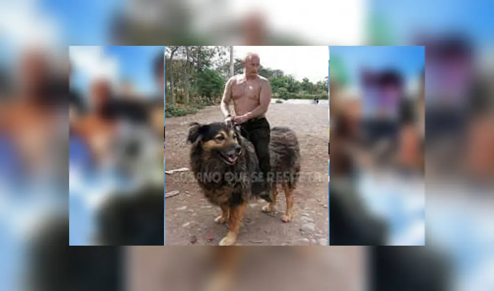 Facebook viral: alumnos de la UNMSM despiden a su 'Perrovaca' con sentimentales memes [FOTOS] 