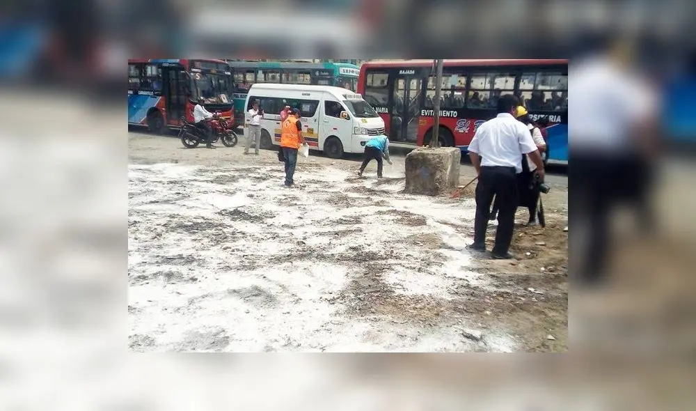 VMT: Minsa desarrolló acciones para prevenir brotes de enfermedades por acumulación de basura VMT: Minsa desarrolló acciones para prevenir brotes de enfermedades por acumulación de basura