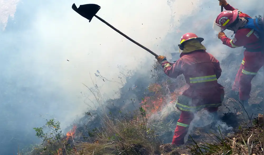Quién incendia los bosques de Lambayeque