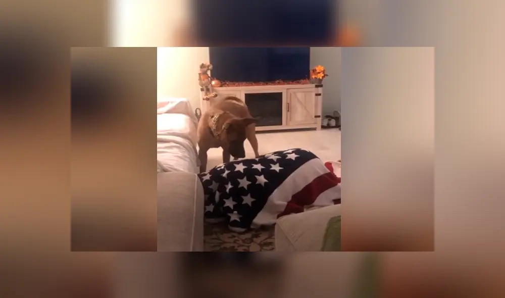 Desliza para ver los momentos más divertidos del video que se hizo viral en YouTube.