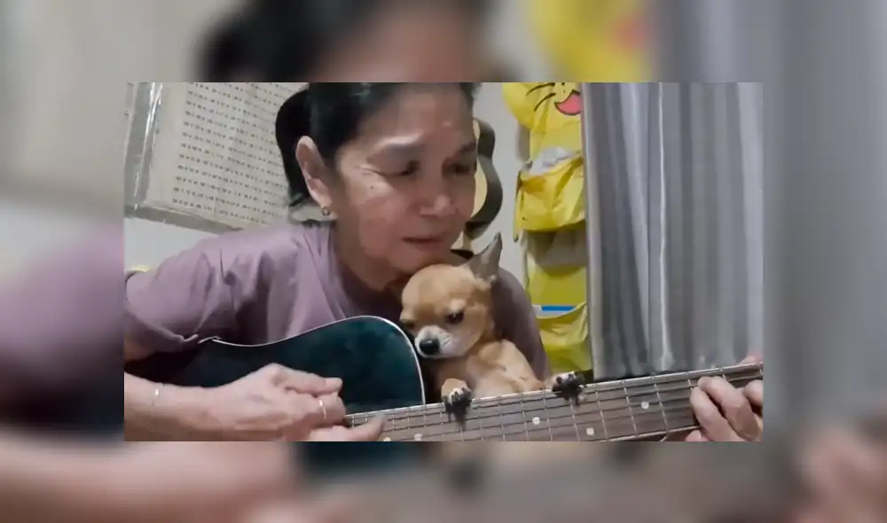 En Facebook, una mujer tocó la canción Hey Jude en una transmisión en vivo para dedicarlo a su tierna mascota. En Facebook, una mujer tocó la canción Hey Jude en una transmisión en vivo para dedicarlo a su tierna mascota.