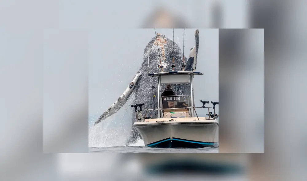 YouTube viral: Pescador queda en shock al ver que enorme criatura surge del océano 