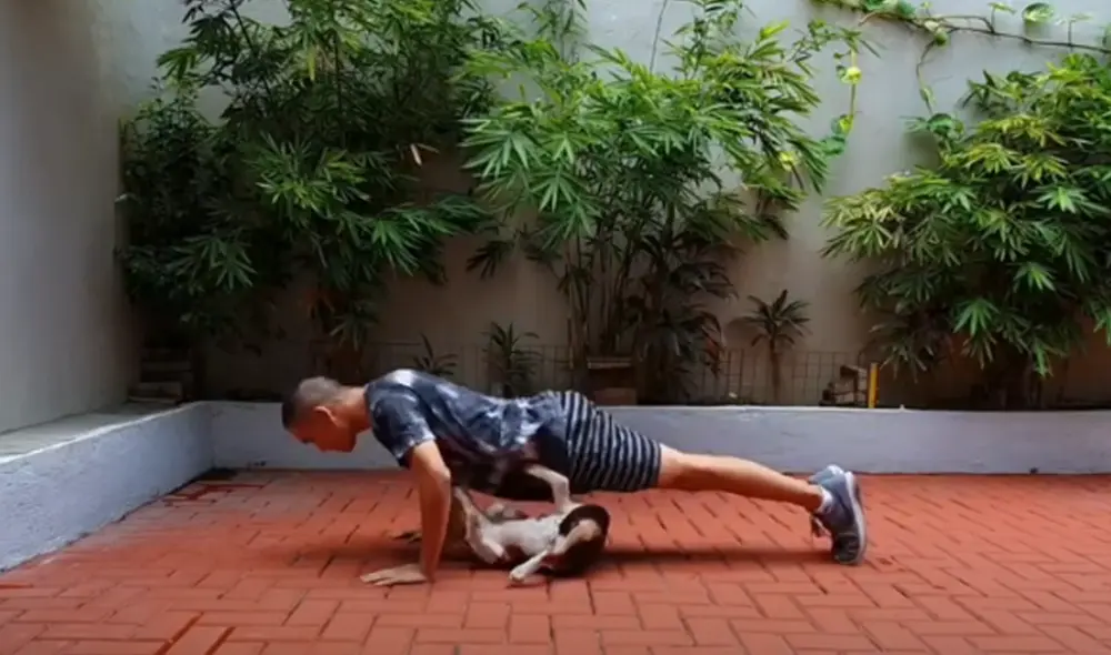 Desliza hacia la izquierda para ver las imágenes del video viral. Foto: Captura de Facebook. Desliza hacia la izquierda para ver las imágenes del video viral. Foto: Captura de Facebook.