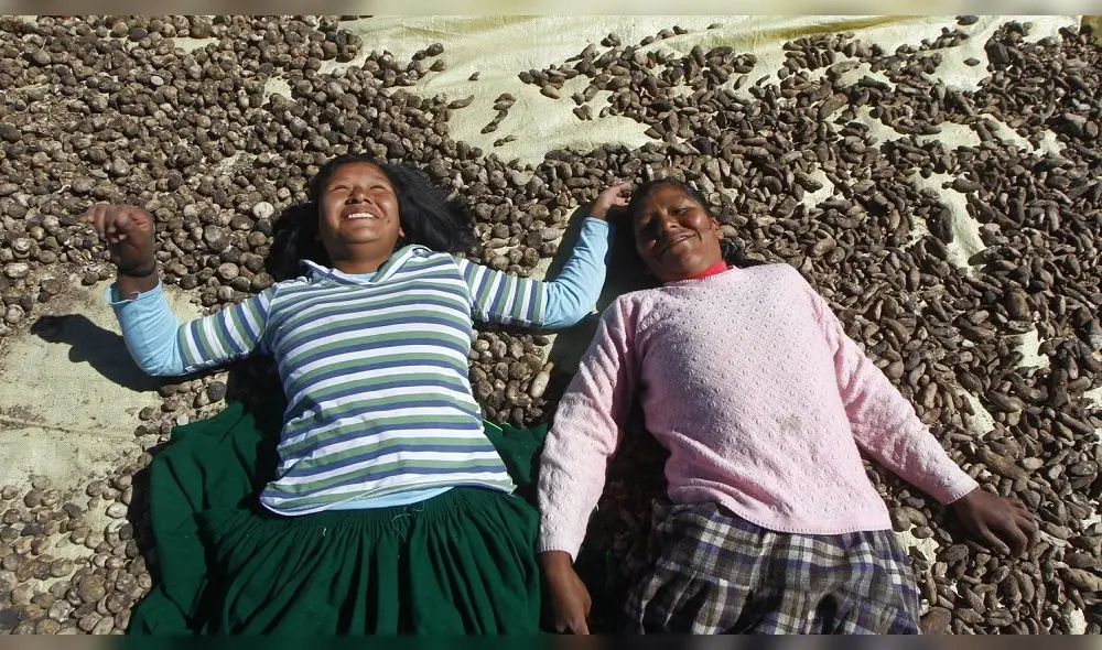 El chuño y la tunta no solo es el alimento de miles de familias sino su sustento económico. Foto: Carlos Cisneros.