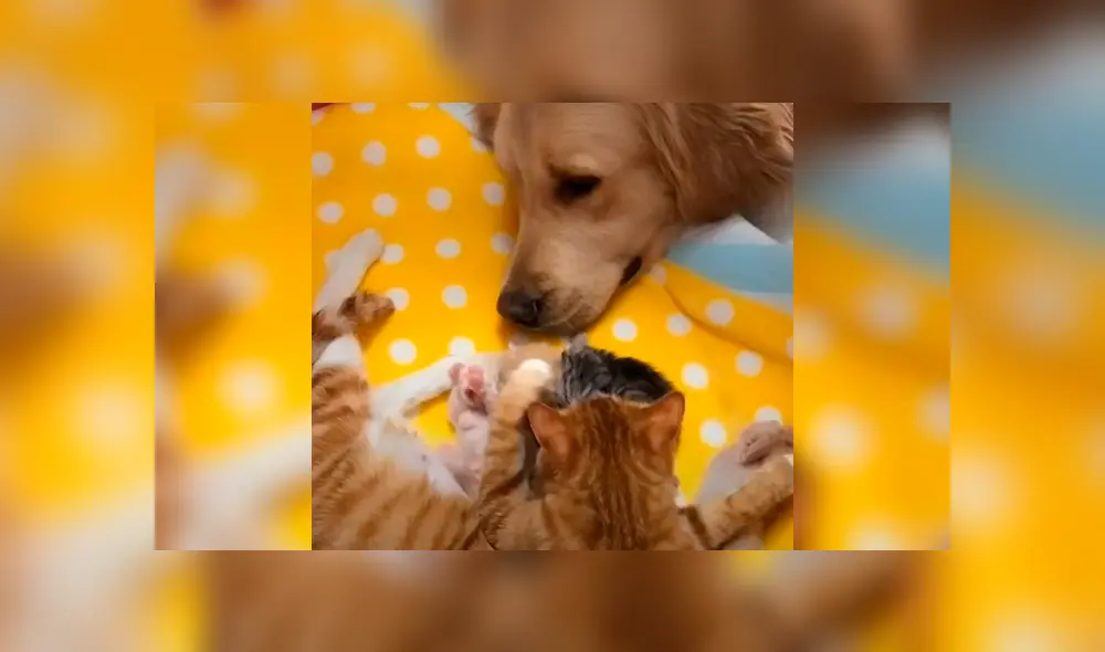 Desliza la imagen de Facebook para ver todas las imágenes. Desliza la imagen de Facebook para ver todas las imágenes.