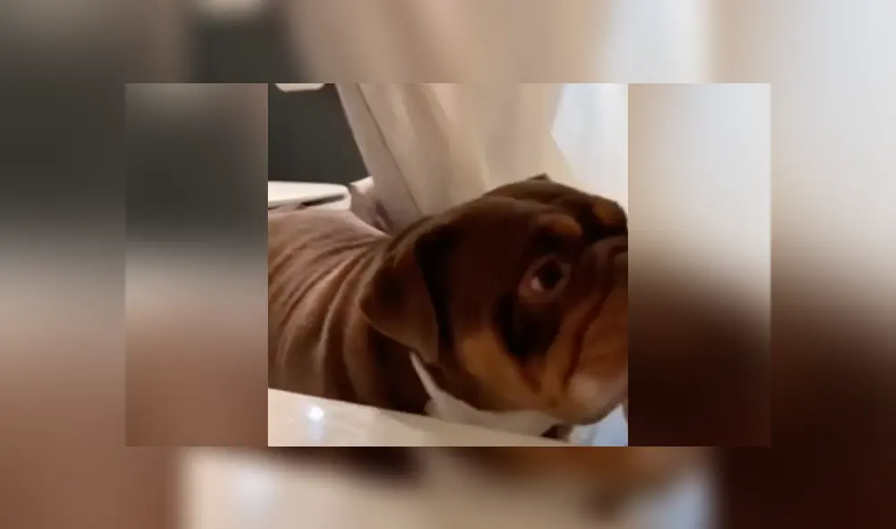 Desliza a la izquierda para conocer más sobre este nuevo video viral de Facebook. Foto: Captura. Desliza a la izquierda para conocer más sobre este nuevo video viral de Facebook. Foto: Captura.