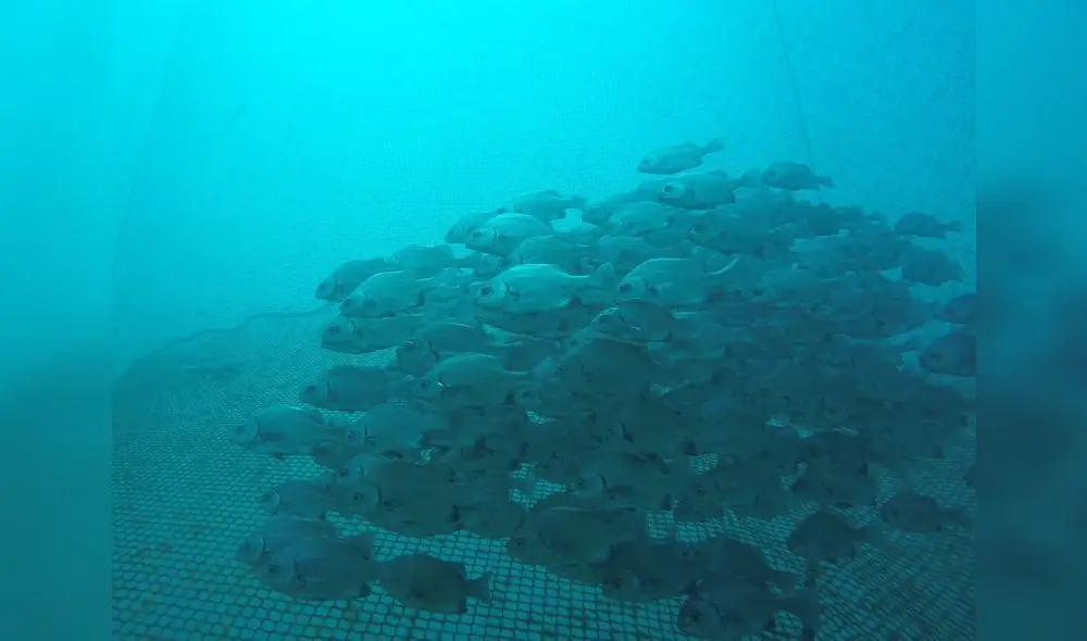 DCIM\100GOPRO\GOPR0355. DCIM\100GOPRO\GOPR0355.