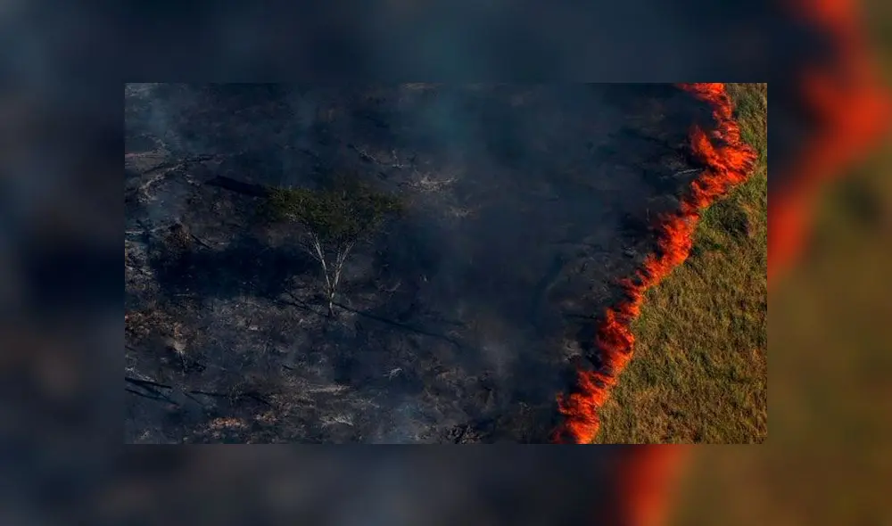 Miles de hectáreas de selva quedaron reducidas a cenizas por el incendio que lleva 17 días. Foto: AFP