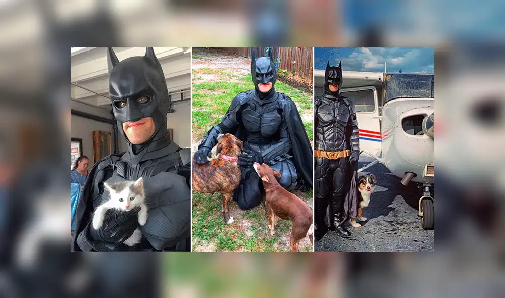 YouTube viral: ‘Batman’ rescata animales que están por ser sacrificados y busca familias que los adopten [VIDEO]