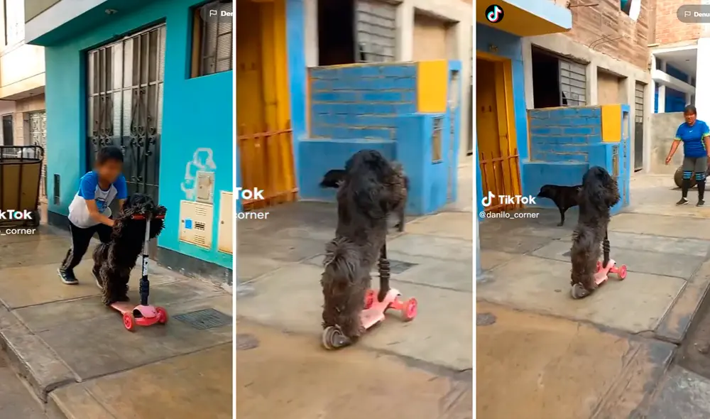 El video ya ha logrado más de 5 millones de reproducciones en redes. Foto: composición de LR/TikTok/@Danilo_corner