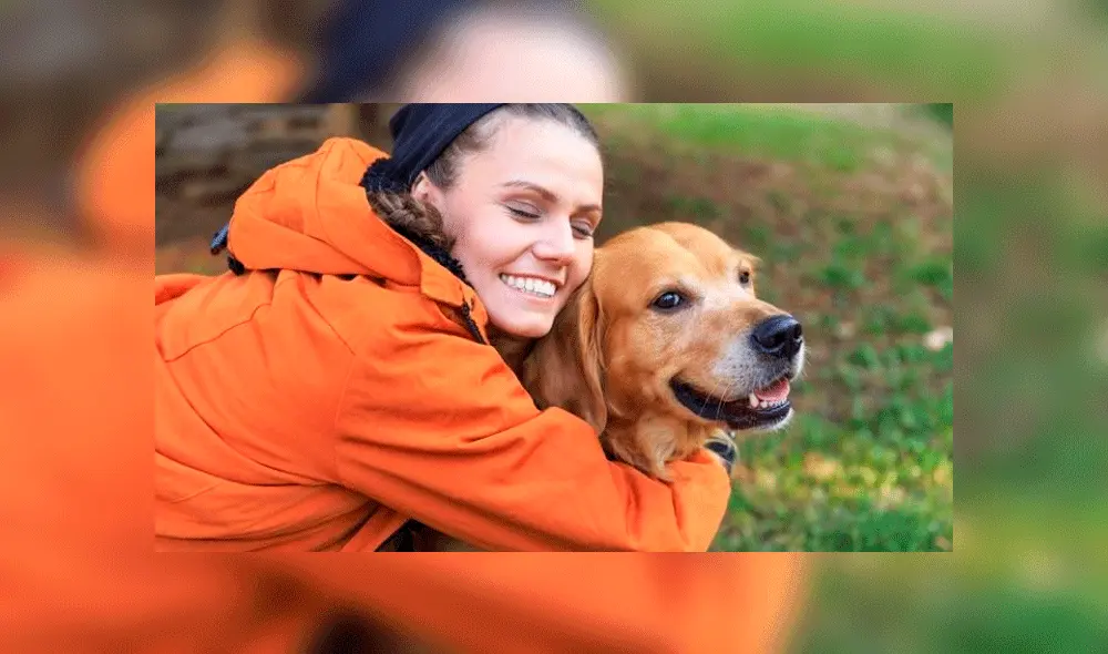 Tener perros es bueno para el corazón, según estudio. Foto: difusión