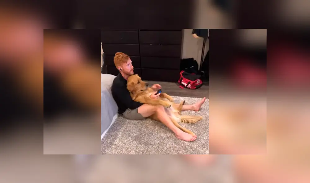 Desliza las imágenes para apreciar el amoroso momento entre un joven junto a la mascota de su pareja. Foto: Woof Woof.