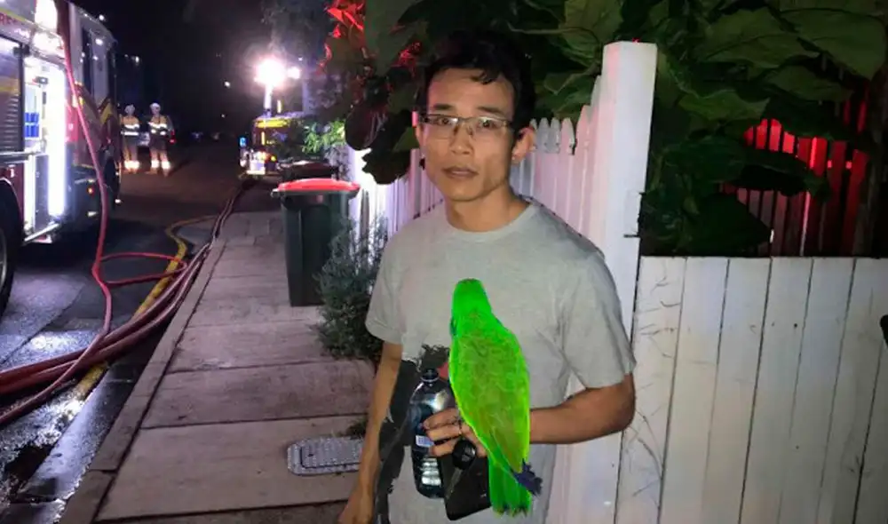 Desliza las imágenes para apreciar la rápida acción de un loro para reportar a su dueño que su casa estaba en fuego. Foto: Captura de Facebook