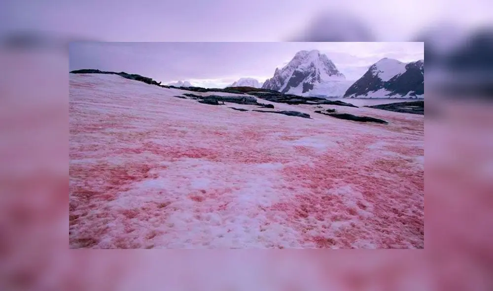El lunes así amaneció la Antártida. Foto: Ministerio de Educación y Ciencia de Ucrania