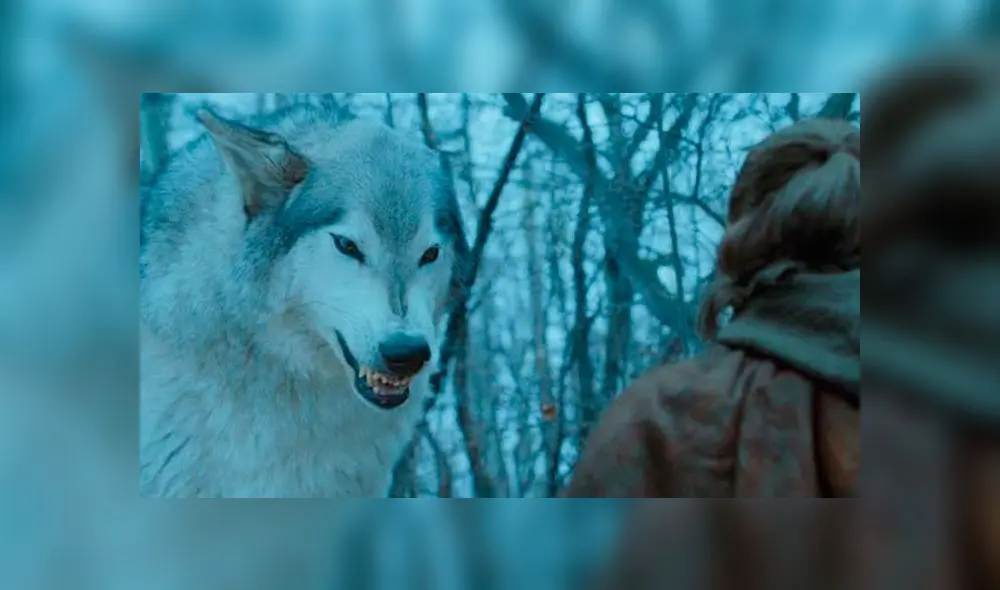 Game of Thrones: ¿Cuál es el origen de los nombres de los lobos huargo de la casa Stark?