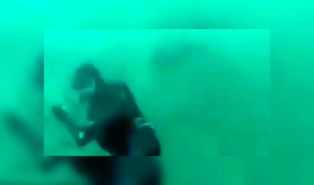 Es viral en YouTube. Hombre no se percató del escualo que apareció detrás de él y abrió sus enormes fauces para devorar su cabeza Es viral en YouTube. Hombre no se percató del escualo que apareció detrás de él y abrió sus enormes fauces para devorar su cabeza