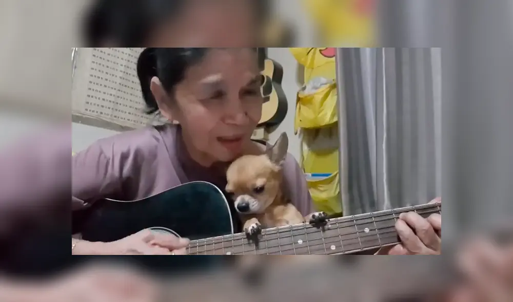 En Facebook, una mujer tocó la canción Hey Jude en una transmisión en vivo para dedicarlo a su tierna mascota. En Facebook, una mujer tocó la canción Hey Jude en una transmisión en vivo para dedicarlo a su tierna mascota.